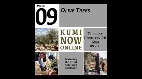 olive tree zaytoun|Zaytoun – KUMI NOW.